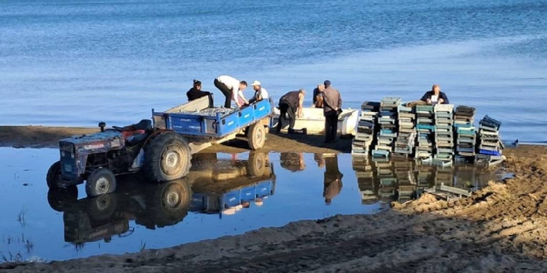 İznik Gölü’nde sezon bereketiyle başladı: Tek seferde 2 ton yakaladılar 1